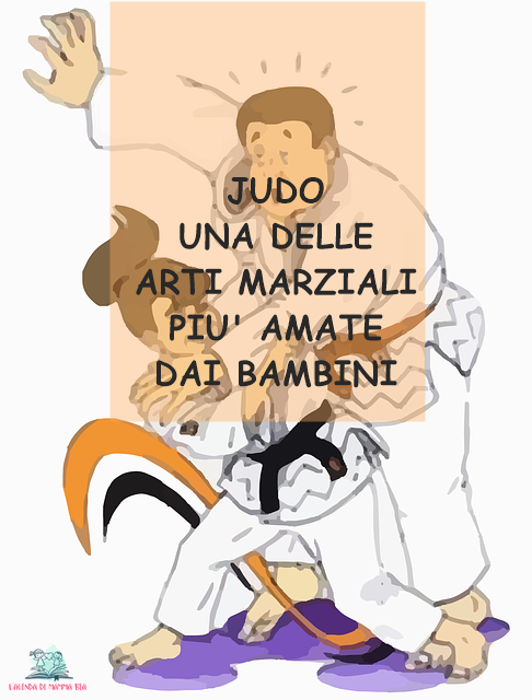 il Judo spiegato da L'Agenda di mamma Bea