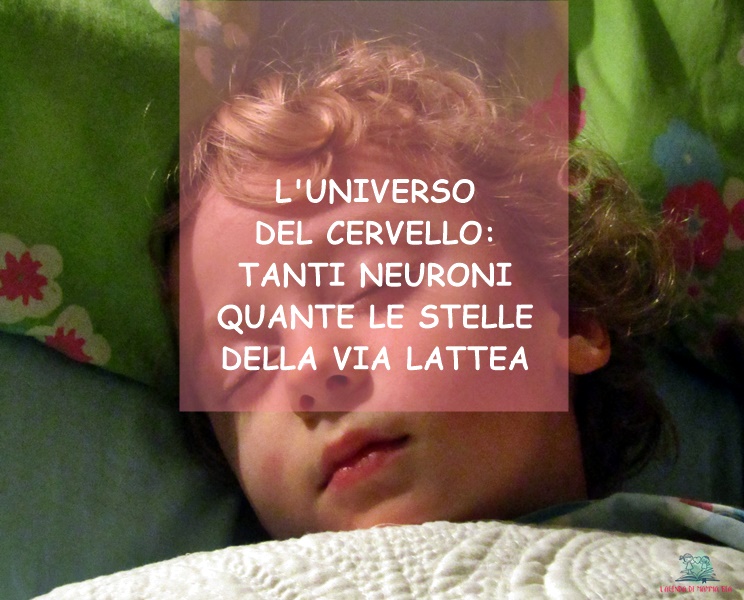 L'Agenda di mamma Bea spiega come funziona il cervello