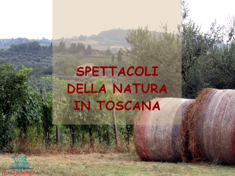 natura in Toscana su L'Agenda di mamma Bea