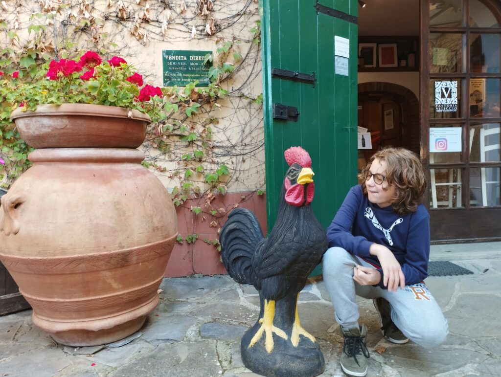 Fattoria Viticcio Greve in Chianti